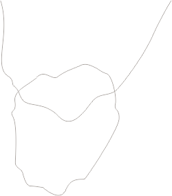 line-shape